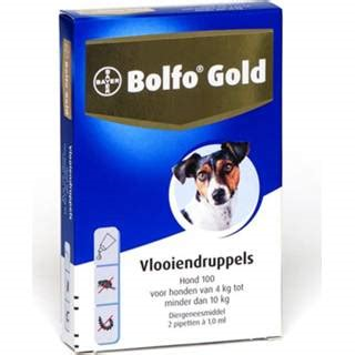 Bolfo Gold Hond 100>4kg